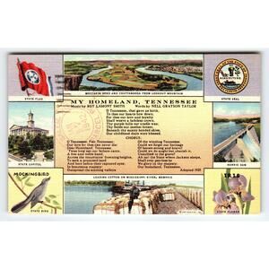 Vintage Linen Postcard Tennessee State Symbols & Scenic Views 1942 Cancel